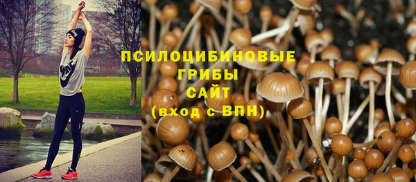 прущая мука Абаза