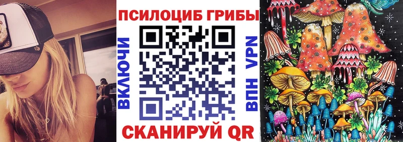 ОМГ ОМГ ONION  Богородицк  Псилоцибиновые грибы Cubensis 